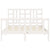 Bed Frame without Mattress White 135x190 cm Solid Wood Pine