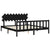 Bed Frame without Mattress Black 183x203 cm King Solid Wood Pine