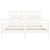 Bed Frame without Mattress White 150x200 cm Solid Wood