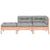 Garden Sofa with Cushions and Footstool 2-Seater