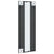 Wall Mirror Black 30x80 cm Rectangle Iron
