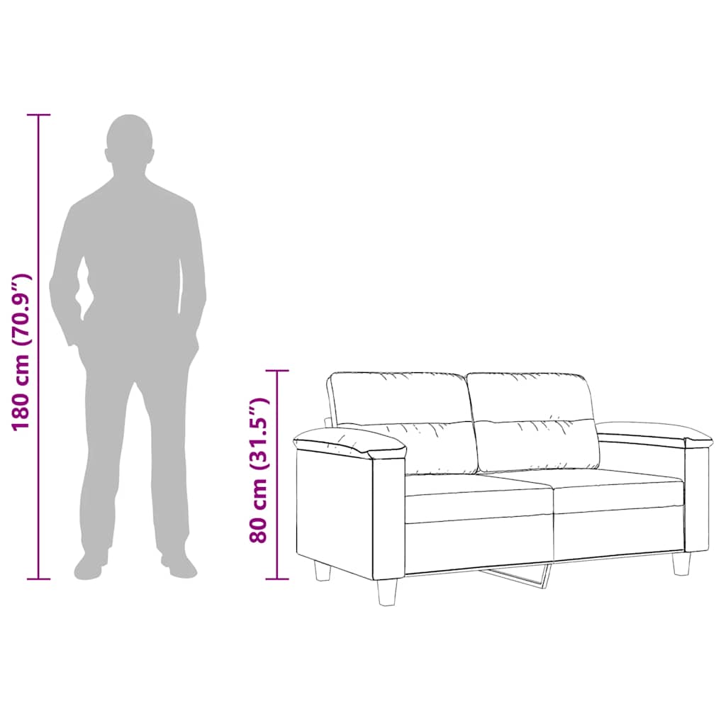 2-Seater Sofa Dark Grey 120 cm Microfibre Fabric