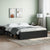 Bed Frame without Mattress Black 150x200 cm