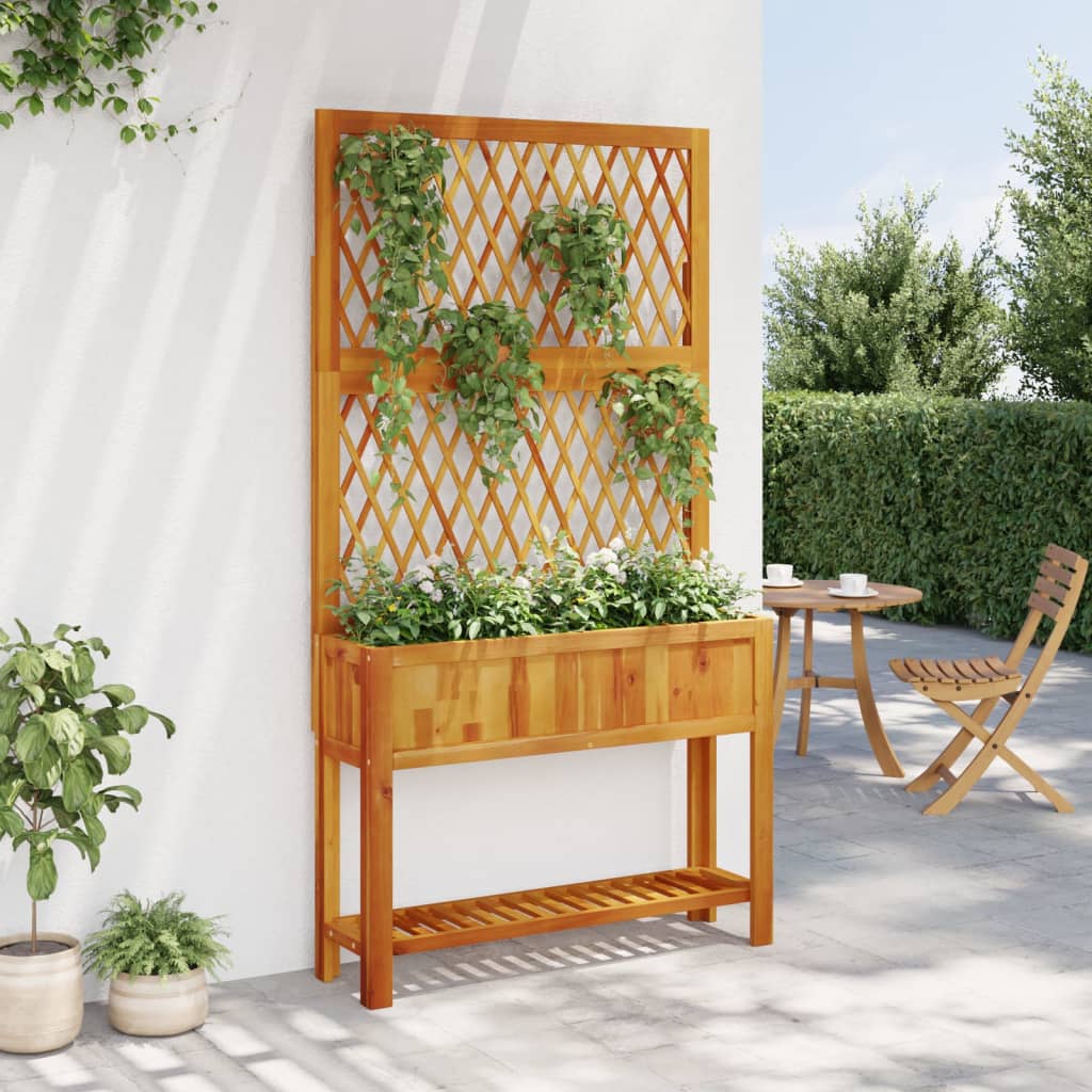 Planter with Trellis and Shelf 100x32x185 cm Solid Wood Acacia