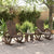 3 Piece Garden Lounge Set Solid Wood Fir