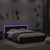 Bed Frame with LED without Mattress Black 150x200 cm