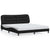 Bed Frame with LED without Mattress Black 183x203 cm King