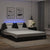 Bed Frame "Viana" with LED without Mattress Black and White 180x200 cm