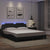 Bed Frame with LED without Mattress Black 183x203 cm King