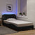 Bed Frame with LED without Mattress "Hvar" Black 107x203 cm King Single Fabric