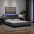 Bed Frame with LED without Mattress Dark Grey 152x203 cm Queen Fabric