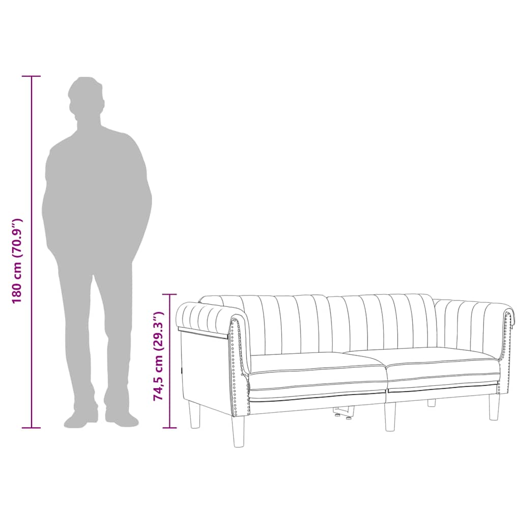 Sofa 2-Seater Black Velvet