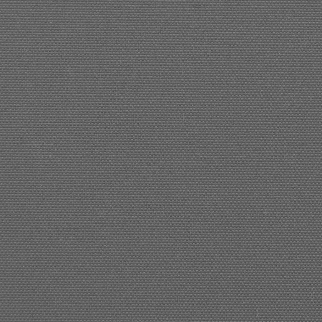 Retractable Side Awning Anthracite 117x300 cm