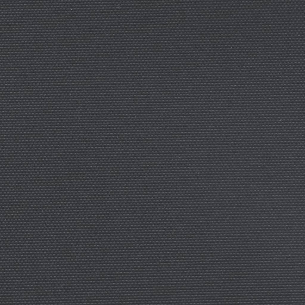 Retractable Side Awning Black 140x300 cm