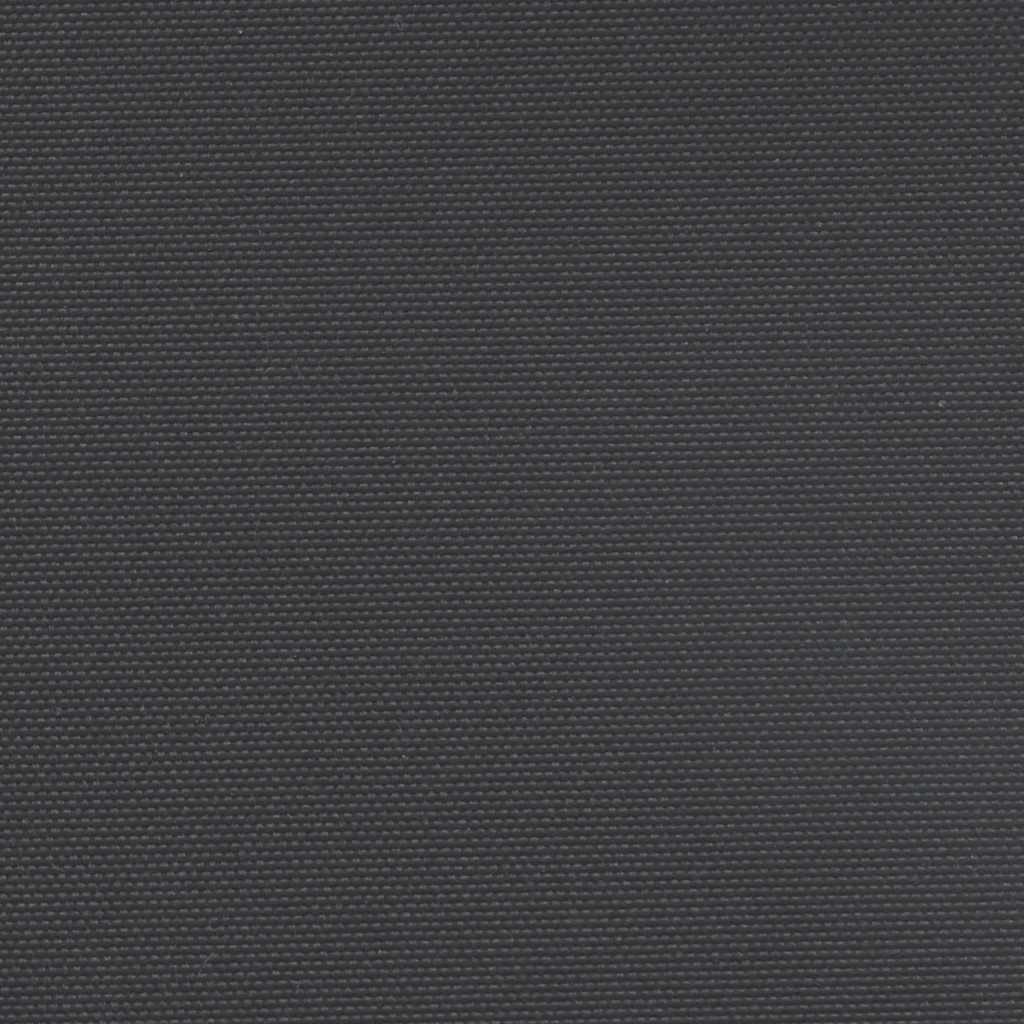 Retractable Side Awning Black 180x300 cm