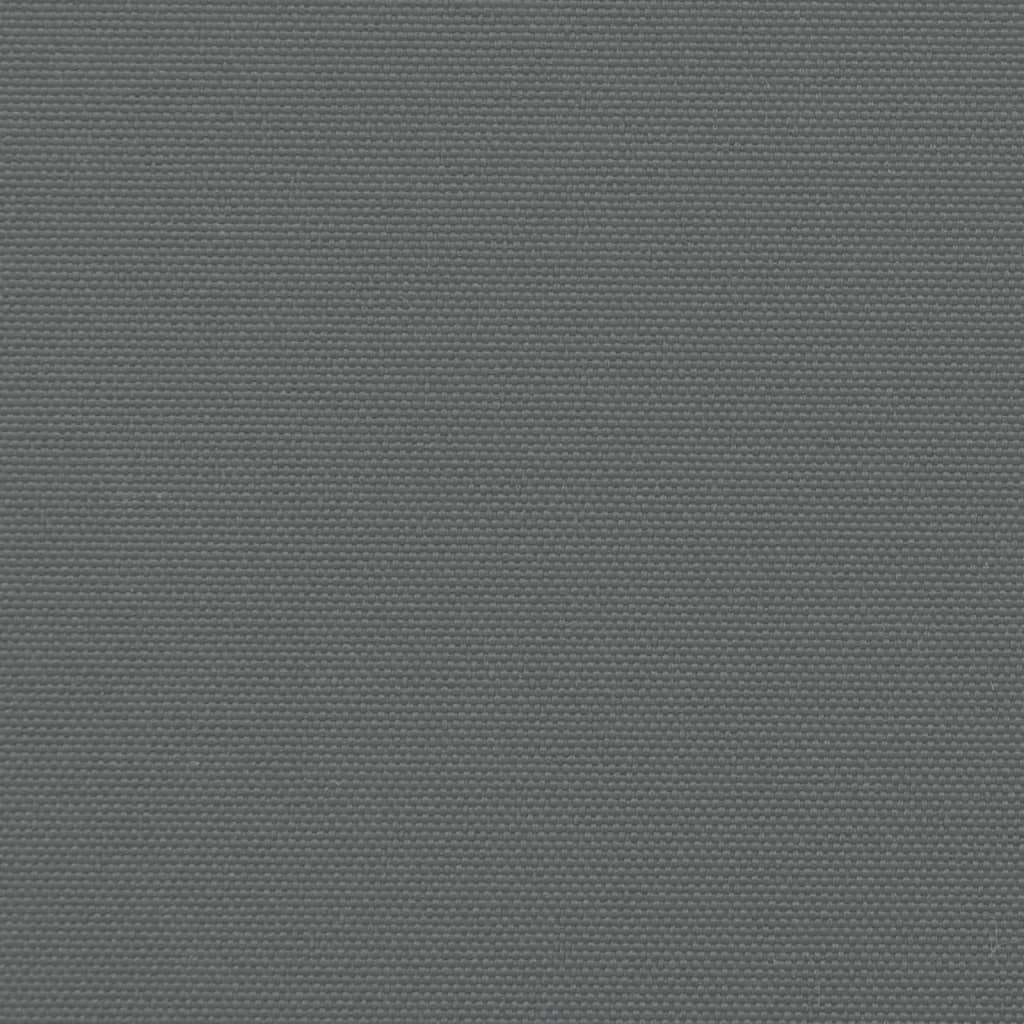 Retractable Side Awning Anthracite 180x300 cm