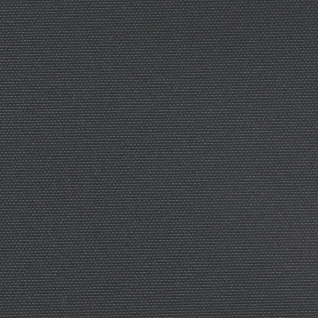 Retractable Side Awning Black 100x500 cm