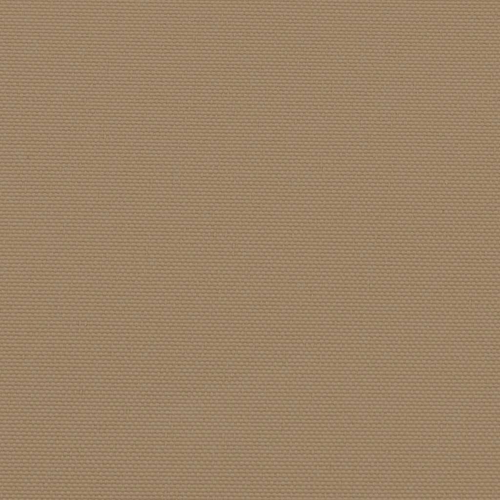 Retractable Side Awning Taupe 160x600 cm