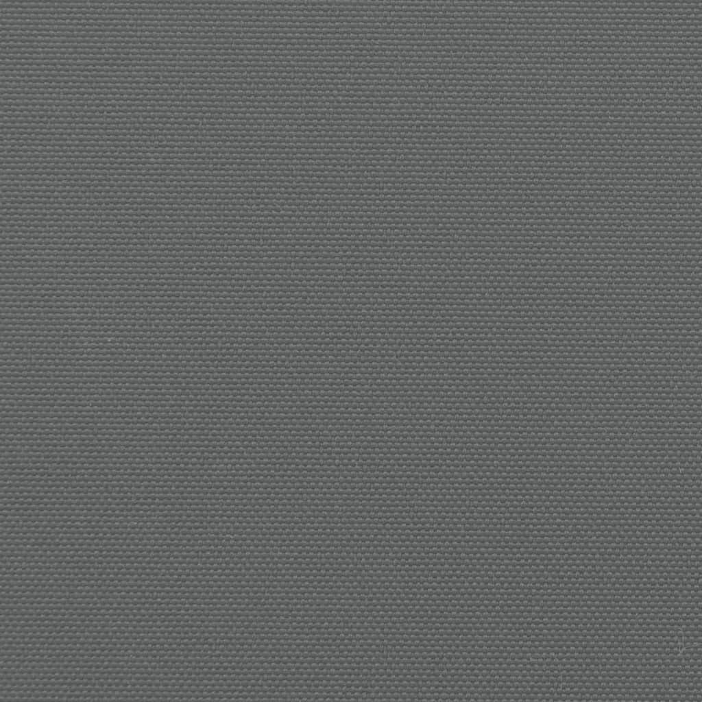 Retractable Side Awning Anthracite 200x600 cm