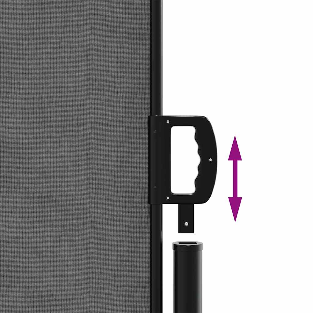 Retractable Side Awning Anthracite 100x1000 cm