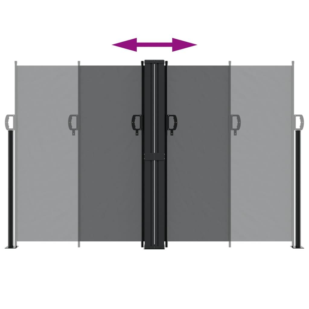 Retractable Side Awning Black 160x1000 cm
