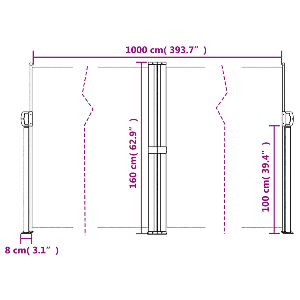 Retractable Side Awning Black 160x1000 cm