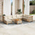 9 Piece Garden Sofa Set with Cushions Beige Poly Rattan