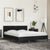 Bed Frame without Mattress Black 150x200 cm
