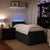 Box Spring Bed with Mattress Black King Single Velvet
