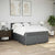 Box Spring Bed with Mattress Light Grey Queen Fabric