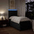 Box Spring Bed with Mattress Black King Single Fabric