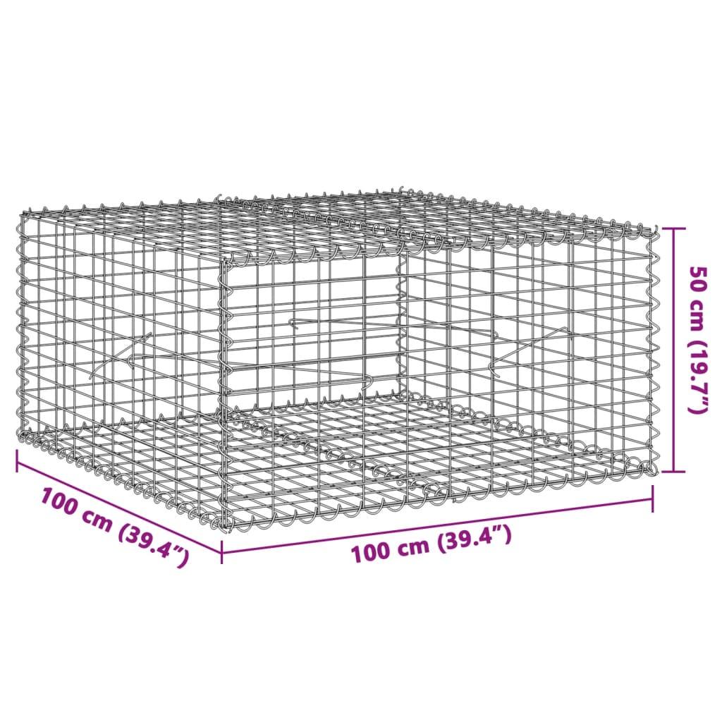 Gabion Basket with Cover 100x100x50 cm Galvanised Iron