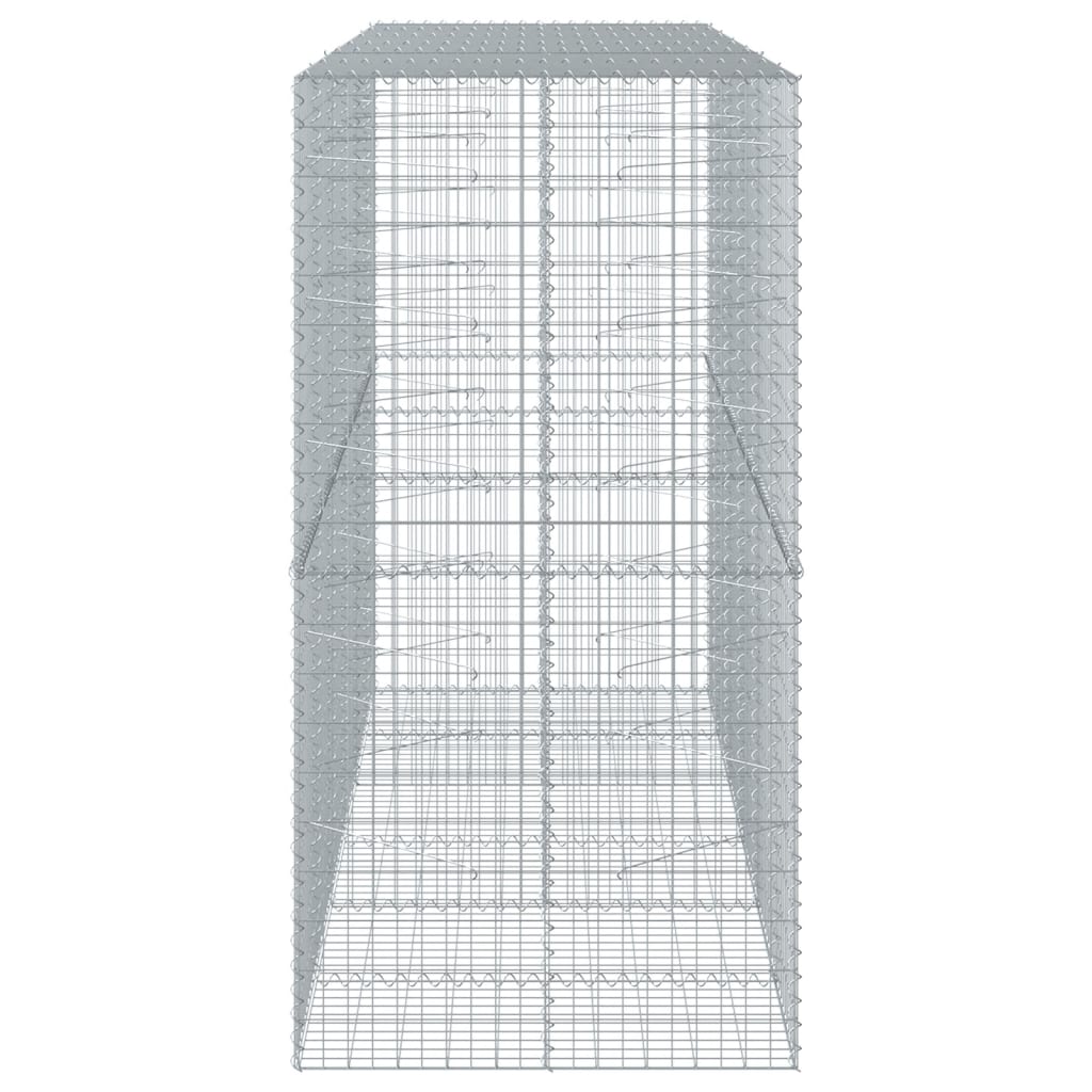 Gabion Basket with Cover 300x100x200 cm Galvanised Iron