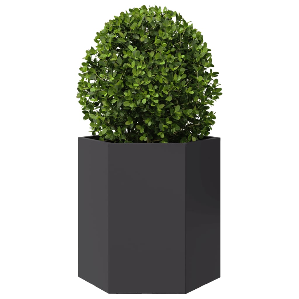 Garden Planters 2 pcs Black Hexagon 46x40x45 cm Steel