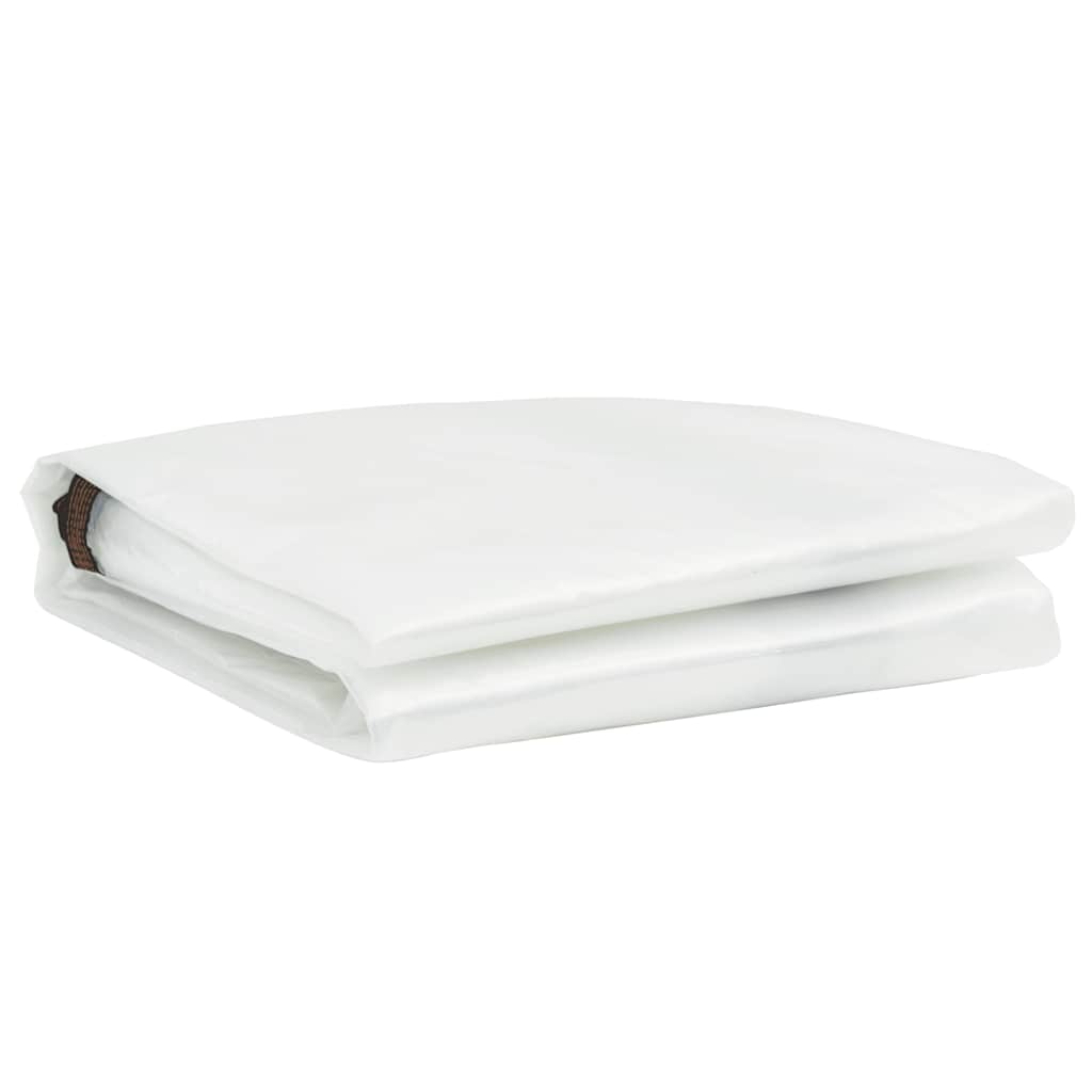 Clear Tarpaulin with Eyelets 2x3 m Polyethylene