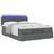 Ottoman Bed with Mattress & LEDs Dark Grey Queen Fabric