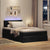 Ottoman Bed with Mattress & LEDs Black King Single Velvet