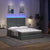 Ottoman Bed with Mattress & LEDs Dark Grey Queen Fabric