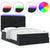 Ottoman Bed with Mattresses & LEDs Black Queen Velvet