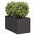 Planter Black 40x80x40 cm Cold-rolled Steel