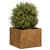 Planter Rusty 40x40x30 cm Weathering Steel