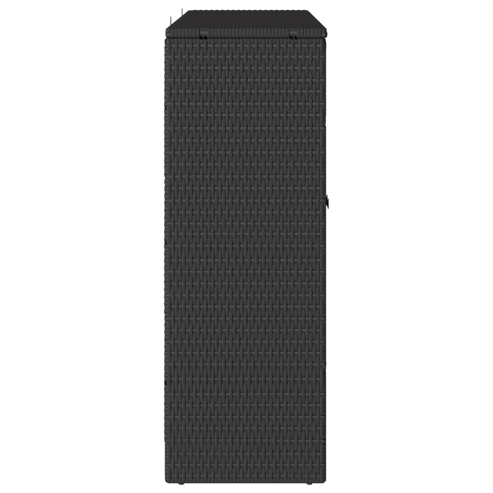 Storage Cabinet with Shelf Black 100 x 36 x 102 cm Rattan