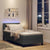 Box Spring Bed Striped Dark Grey and White 203 x 107 x 88 cm