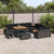 Garden Sofa Set with Cushion 13 pcs Black Poly rattan