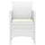 Garden Chair 2 pcs White 53 x 49 x 85 cm PP
