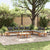 Garden Bench Set with Cushion with Storage 5 pcs Brown and Grey