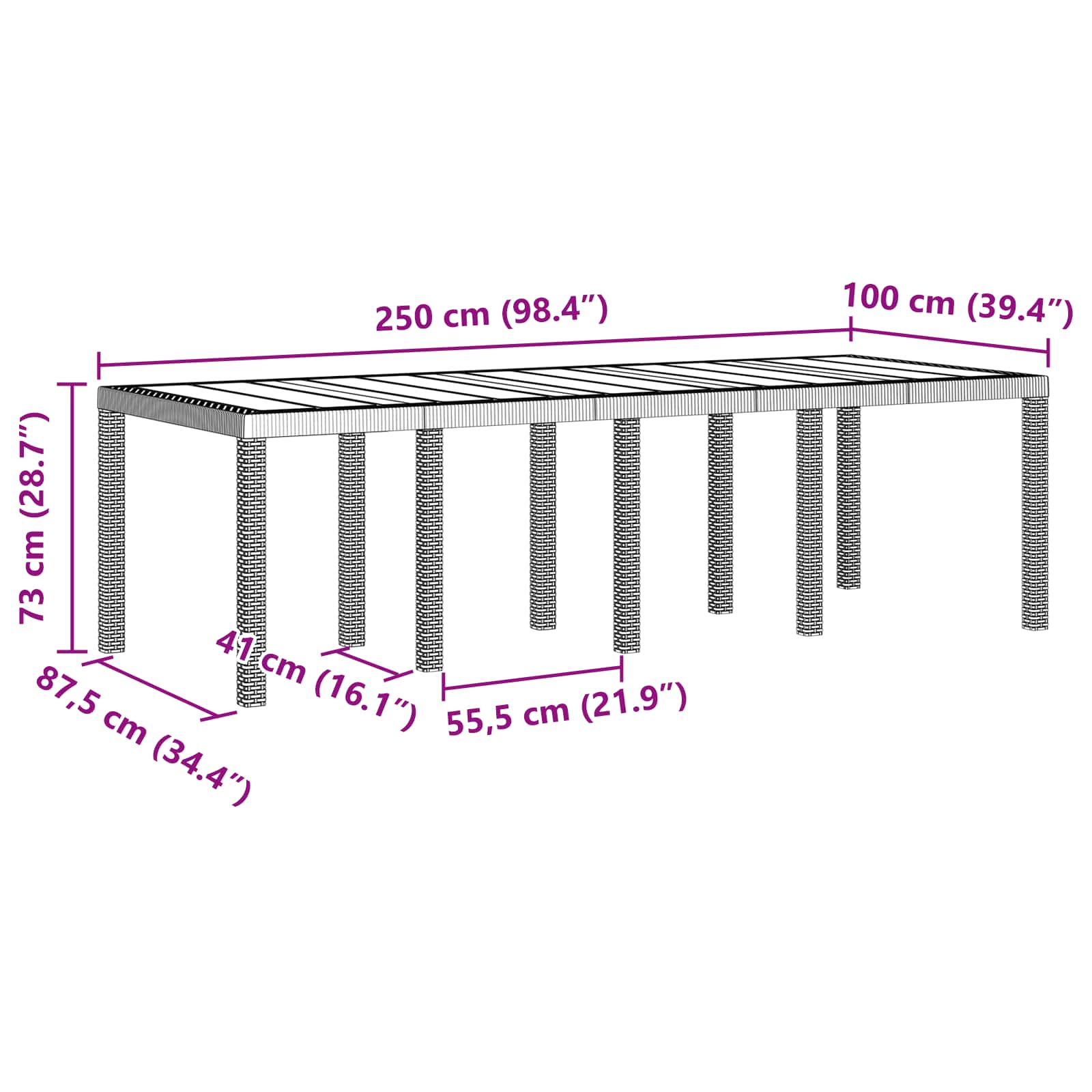 Garden Table Anthracite 250 x 100 x 73 cm Poly Rattan