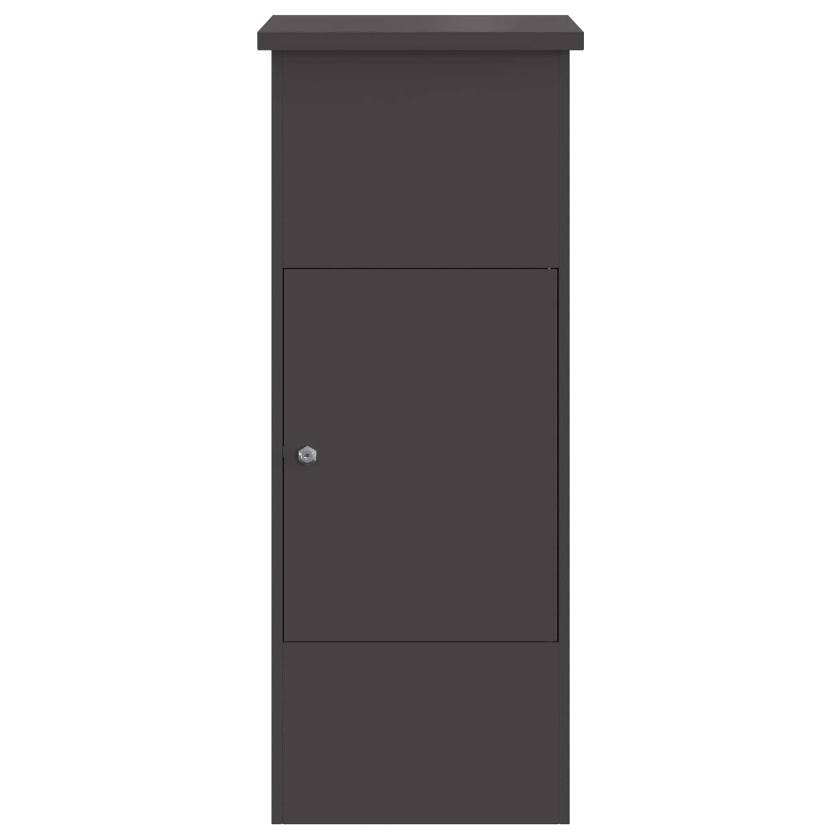 Parcel Drop Box with Storage Black 44,5 x 29 x 110,5 cm Steel