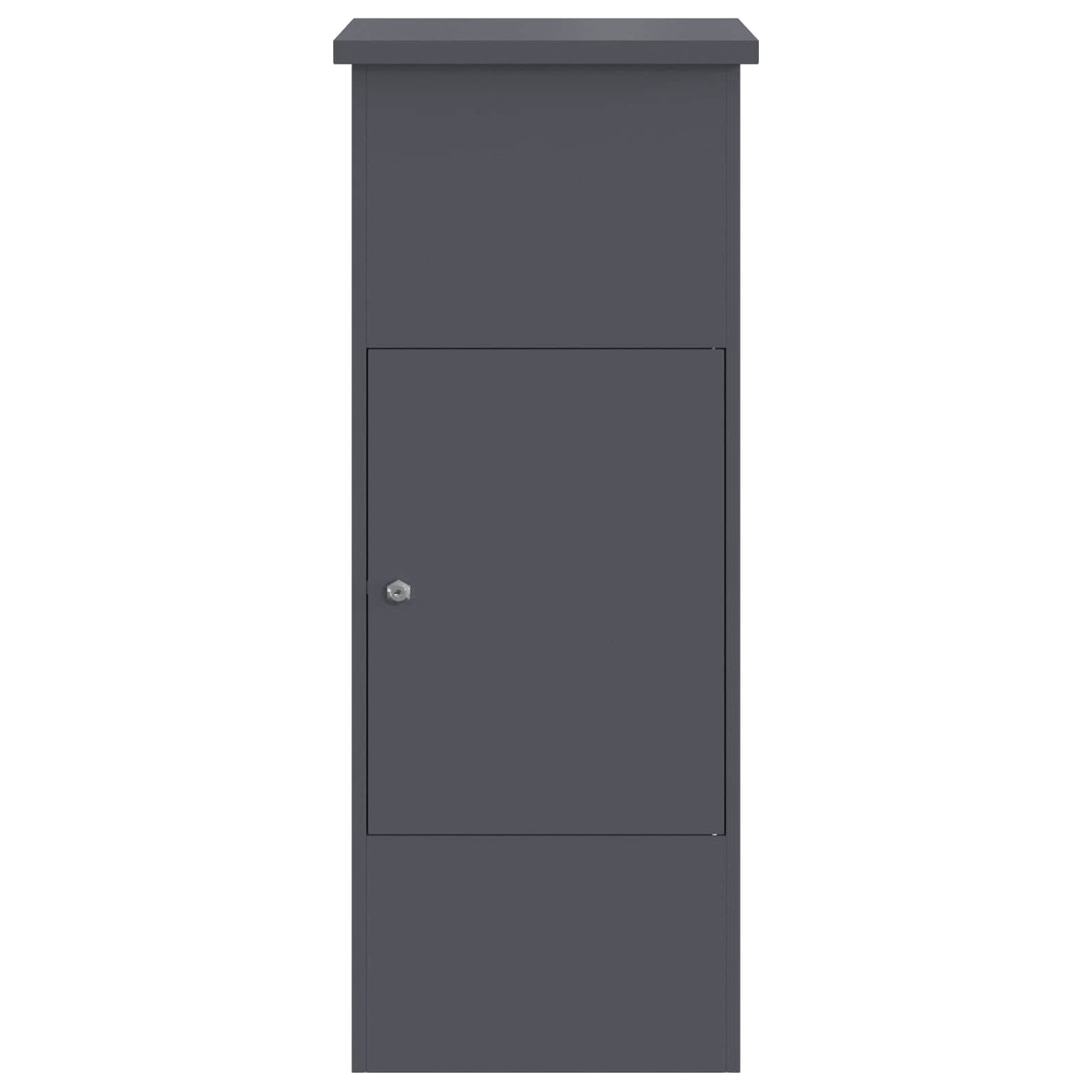Parcel Drop Box with Door Anthracite 44,5 x 29 x 110,5 cm Steel