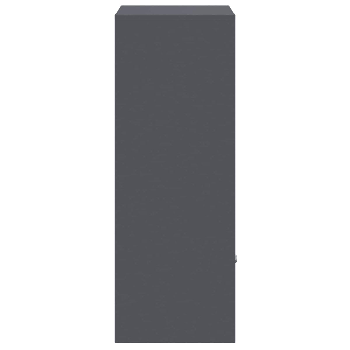 Parcel Drop Box with Storage Anthracite 47.5 x 38 x 59 cm Steel
